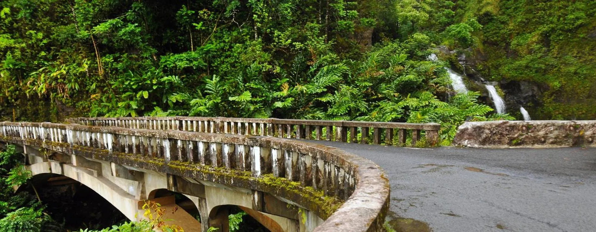 Villa Kaleialoha 409 Kahana Estados Unidos